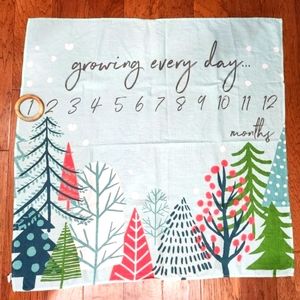 3 for $15 / Honest Baby • Muslin Month-By-Month Milestone Blanket